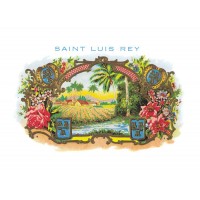 SAINT LUIS REY│Buy Real Cuban Cigars at the best price!!